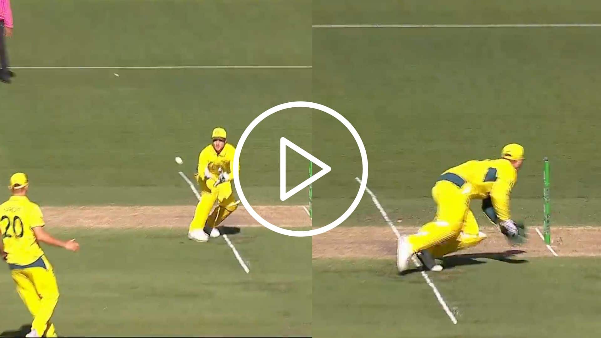 [Watch] Josh Inglis' 'Silly Blunder' vs West Indies Grabs Eyeballs During AUS vs WI 1st ODI